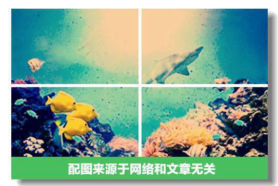 一个星期没有来了